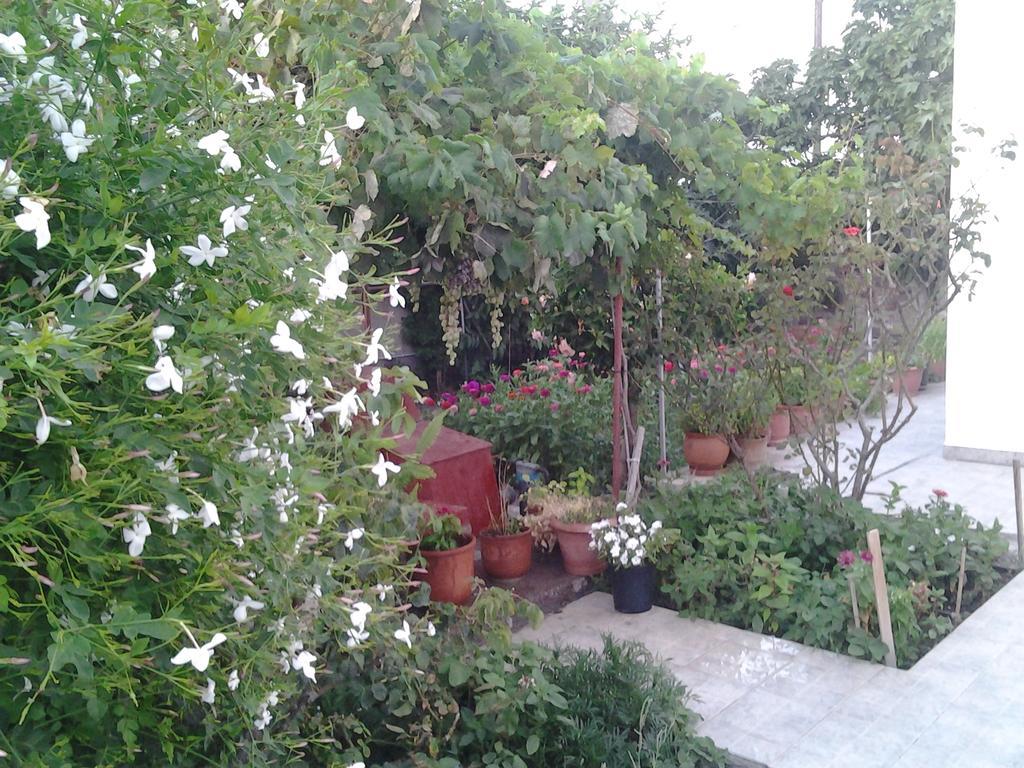 Anestoula Rooms سكالا المظهر الخارجي الصورة